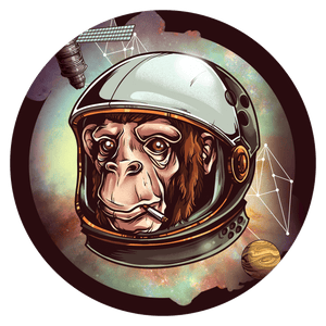 Space Monkey - slipmat tappetino DJ 33 giri