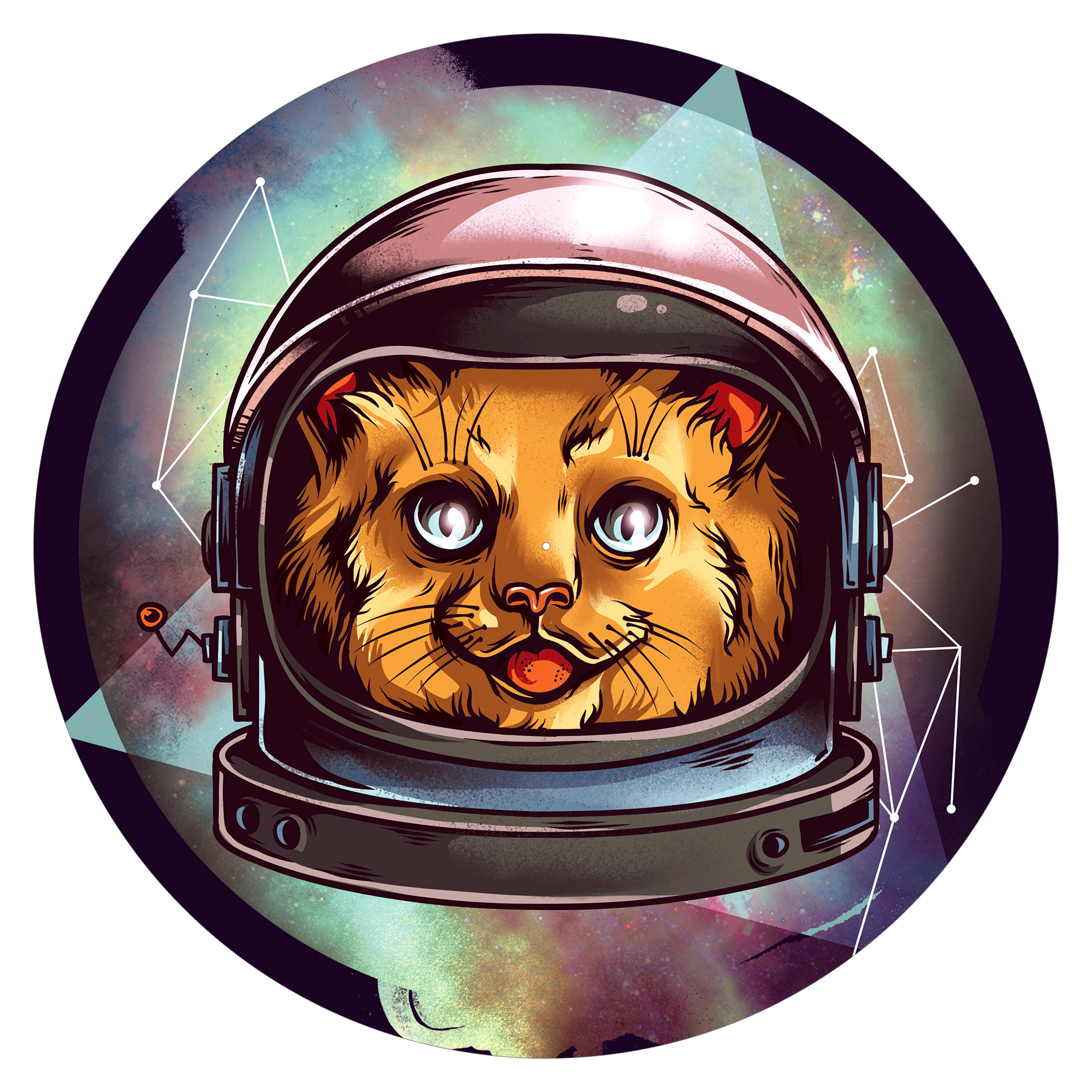 Space Cat - slipmat tappetino DJ 33 giri