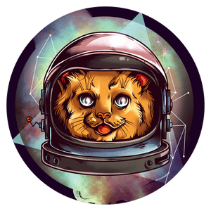 Space Cat - slipmat tappetino DJ 33 giri