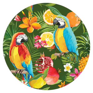 Parrots - slipmat tappetino DJ 33 giri