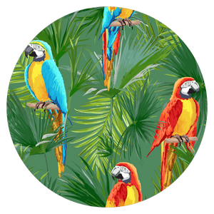 Parrots - slipmat tappetino DJ 33 giri